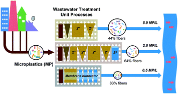Graphical abstract: Fate of microplastics and other small anthropogenic litter (SAL) in wastewater treatment plants depends on unit processes employed