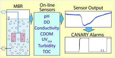 Graphical abstract: Application of the CANARY event detection software for real-time performance monitoring of decentralized water reuse systems