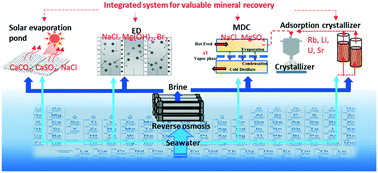 Graphical abstract: Mining valuable minerals from seawater: a critical review