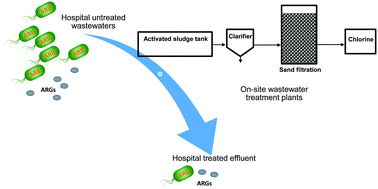 Graphical abstract: Removal of bacterial cells, antibiotic resistance genes and integrase genes by on-site hospital wastewater treatment plants: surveillance of treated hospital effluent quality