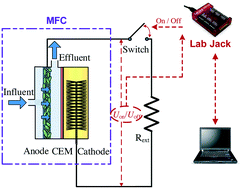 Graphical abstract: Enhancement of the sensitivity of a microbial fuel cell sensor by transient-state operation