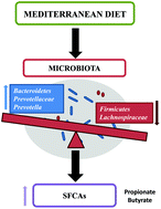 Graphical abstract: Mediterranean diet and faecal microbiota: a transversal study