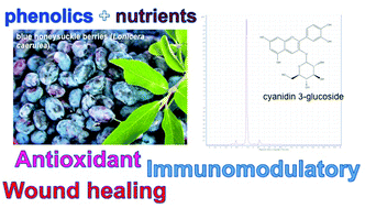 Graphical abstract: Blue honeysuckle fruit (Lonicera caerulea L.) from eastern Russia: phenolic composition, nutritional value and biological activities of its polar extracts