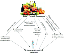 Graphical abstract: An update on dietary phenolic compounds in the prevention and management of rheumatoid arthritis