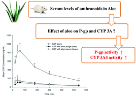 Graphical abstract: Aloe activated P-glycoprotein and CYP 3A: a study on the serum kinetics of aloe and its interaction with cyclosporine in rats