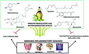 Graphical abstract: Extra virgin olive oil: a key functional food for prevention of immune-inflammatory diseases