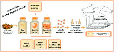 Graphical abstract: An in vitro digestion method adapted for carotenoids and carotenoid esters: moving forward towards standardization