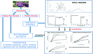 Graphical abstract: Recovery of dietary fiber and polyphenol from grape juice pomace and evaluation of their functional properties and polyphenol compositions