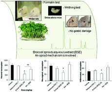 Graphical abstract: Broccoli sprouts in analgesia – preclinical in vivo studies