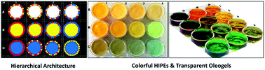Graphical abstract: Hierarchical high internal phase emulsions and transparent oleogels stabilized by quillaja saponin-coated nanodroplets for color performance