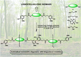 Graphical abstract: Chemo-enzymatic preparation and characterization of renewable oligomers with bisguaiacol moieties: promising sustainable antiradical/antioxidant additives