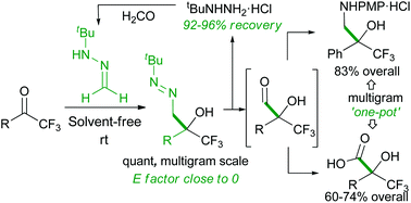 Graphical abstract: Solvent-free synthesis of quaternary α-hydroxy α-trifluoromethyl diazenes: the key step of a nucleophilic formylation strategy