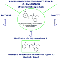 Graphical abstract: On the way to greener ionic liquids: identification of a fully mineralizable phenylalanine-based ionic liquid
