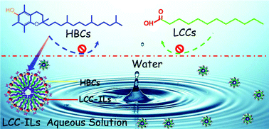 Graphical abstract: Enhanced solubilization and extraction of hydrophobic bioactive compounds using water/ionic liquid mixtures