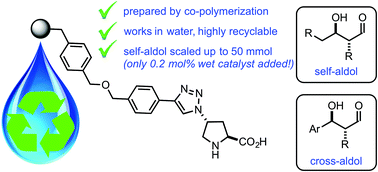 Graphical abstract: Asymmetric cross- and self-aldol reactions of aldehydes in water with a polystyrene-supported triazolylproline organocatalyst