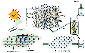 Graphical abstract: Synthesis of functionalized N-doped graphene DNA hybrid material in a deep eutectic solvent