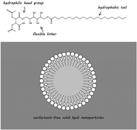 Graphical abstract: Synthetic ultra-long chain fatty acyl based amphiphilic lipids as a dual function excipient for the production of surfactant-free solid lipid nanoparticles (SF-SLNs): a physico-chemical study