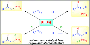Graphical abstract: Catalyst- and solvent-free hydrophosphination and multicomponent hydrothiophosphination of alkenes and alkynes