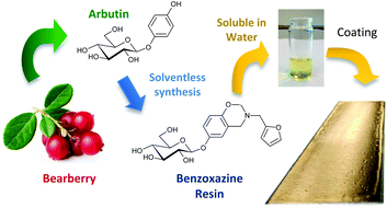 Graphical abstract: Arbutin-based benzoxazine: en route to an intrinsic water soluble biobased resin