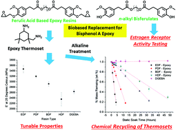 Graphical abstract: Structure property relationships of biobased n-alkyl bisferulate epoxy resins