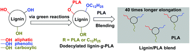Graphical abstract: Dodecylated lignin-g-PLA for effective toughening of PLA