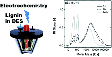 Graphical abstract: Electrochemical depolymerisation of lignin in a deep eutectic solvent