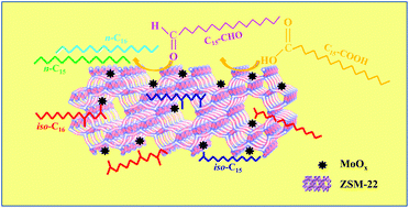 Graphical abstract: Upgrading of palmitic acid to iso-alkanes over bi-functional Mo/ZSM-22 catalysts
