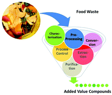 Graphical abstract: Pre-treatment and extraction techniques for recovery of added value compounds from wastes throughout the agri-food chain