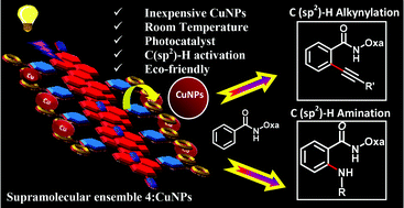 Graphical abstract: Supramolecular ensemble of PBI derivative and copper nanoparticles: a light harvesting antenna for photocatalytic C(sp2)–H functionalization