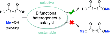 Graphical abstract: Selective monomethyl esterification of linear dicarboxylic acids with bifunctional alumina catalysts