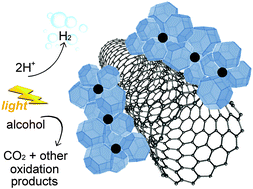 Graphical abstract: Making H2 from light and biomass-derived alcohols: the outstanding activity of newly designed hierarchical MWCNT/Pd@TiO2 hybrid catalysts