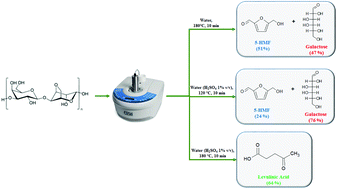 Graphical abstract: Tunable microwave-assisted aqueous conversion of seaweed-derived agarose for the selective production of 5-hydroxymethyl furfural/levulinic acid