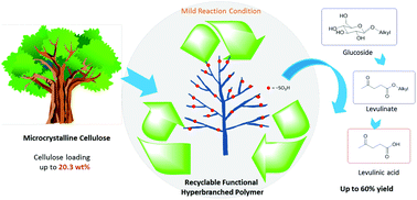 Graphical abstract: Fast catalytic conversion of recalcitrant cellulose into alkyl levulinates and levulinic acid in the presence of soluble and recoverable sulfonated hyperbranched poly(arylene oxindole)s