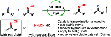 Graphical abstract: Brønsted acid catalyzed transoximation reaction: synthesis of aldoximes and ketoximes without use of hydroxylamine salts