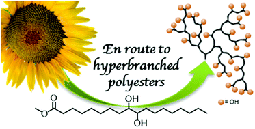 Graphical abstract: Hyperbranched polyesters by polycondensation of fatty acid-based ABn-type monomers