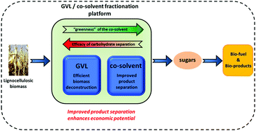 Graphical abstract: An engineered solvent system for sugar production from lignocellulosic biomass using biomass derived γ-valerolactone