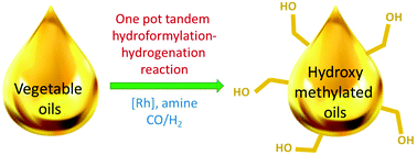 Graphical abstract: Rhodium-catalyzed one pot synthesis of hydroxymethylated triglycerides