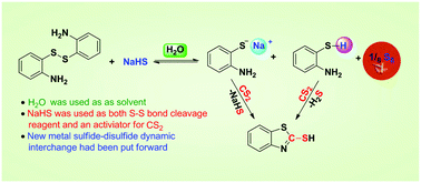 Graphical abstract: Highly efficient synthesis of 2-mercaptobenzothiazole derivatives in water: metal sulfide–disulfide dynamic interchange reaction