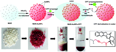 Graphical abstract: Efficient synthesis of camptothecin propargylamine derivatives in water catalyzed by macroporous adsorption resin-supported gold nanoparticles