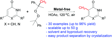 Graphical abstract: Metal-free radical C–H methylation of pyrimidinones and pyridinones with dicumyl peroxide
