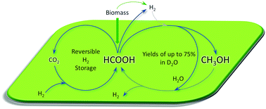 Graphical abstract: Aqueous phase homogeneous formic acid disproportionation into methanol