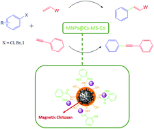 Graphical abstract: Pd/Cu-free Heck and Sonogashira cross-coupling reaction by Co nanoparticles immobilized on magnetic chitosan as reusable catalyst