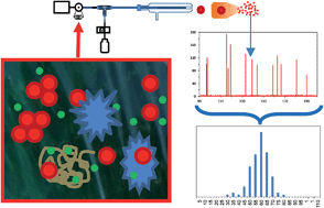 Graphical abstract: Flow injection with on-line dilution and single particle inductively coupled plasma – mass spectrometry for monitoring silver nanoparticles in seawater and in marine microorganisms