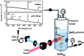 Graphical abstract: In situ measurements of calcium carbonate dissolution under rising CO2 pressure using underwater laser-induced breakdown spectroscopy