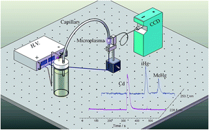 Graphical abstract: A novel capillary microplasma analytical system: interface-free coupling of glow discharge optical emission spectrometry to capillary electrophoresis