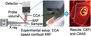 Graphical abstract: Superior spatial resolution in confocal X-ray techniques using collimating channel array optics: elemental mapping and speciation in archaeological human bone