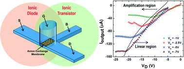 Graphical abstract: High-flux ionic diodes, ionic transistors and ionic amplifiers based on external ion concentration polarization by an ion exchange membrane: a new scalable ionic circuit platform