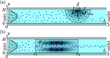 Graphical abstract: Continuum modeling of hydrodynamic particle–particle interactions in microfluidic high-concentration suspensions