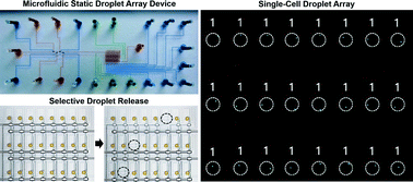Graphical abstract: A highly addressable static droplet array enabling digital control of a single droplet at pico-volume resolution