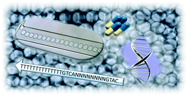 Graphical abstract: Droplet-based microfluidics in drug discovery, transcriptomics and high-throughput molecular genetics